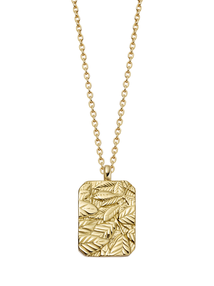 Astley Clarke Terra 'Strength' Locket Necklace, Gold, Gold