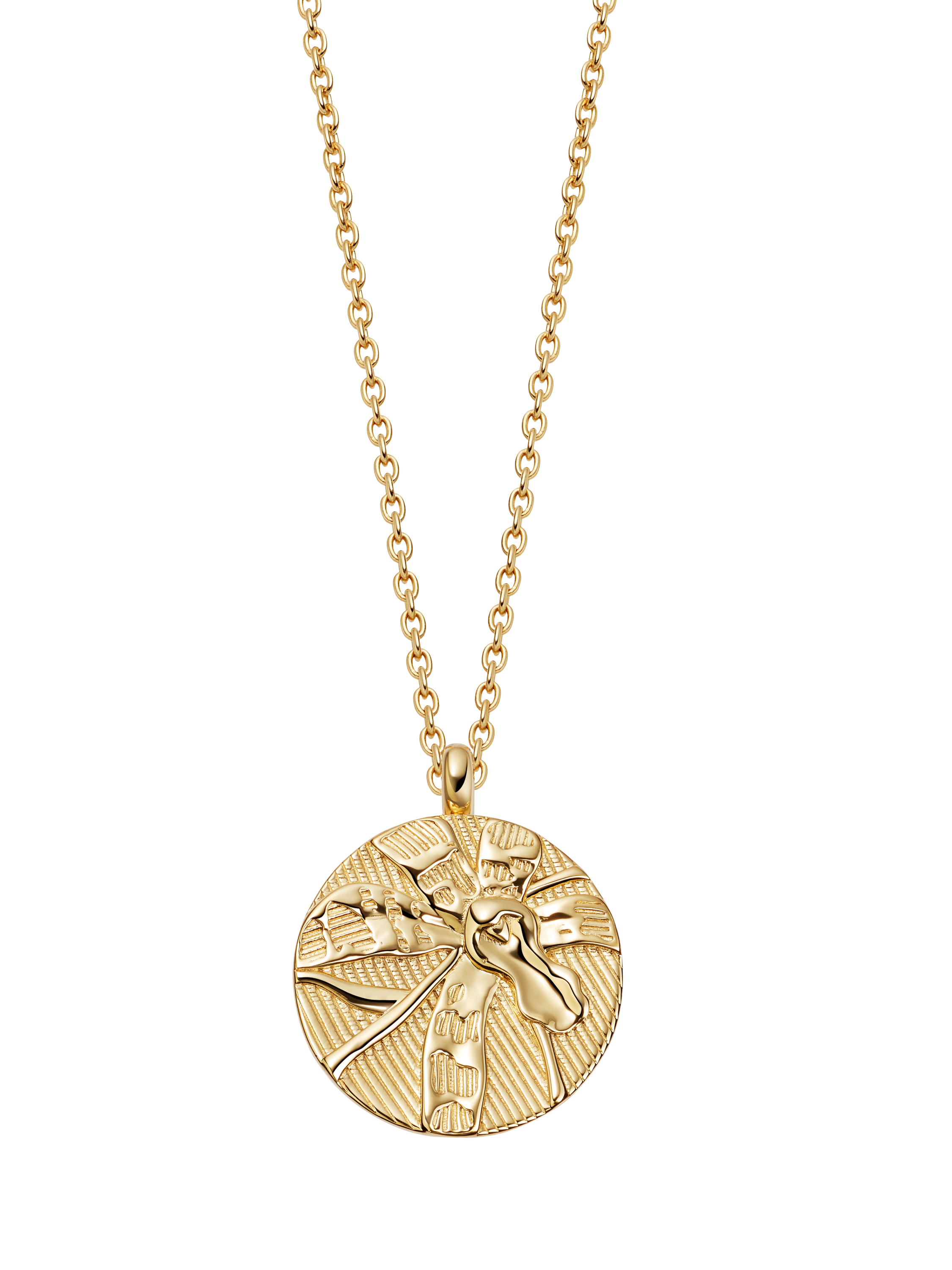 Product image 1 of 4, which shows Astley Clarke Terra 'Loved' Locket Necklace, Gold