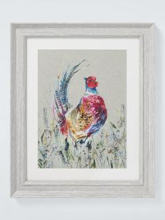 John Lewis Nicola Jane Rowles 'Pheasant' Framed Print & Mount, 35 x 29cm, Grey