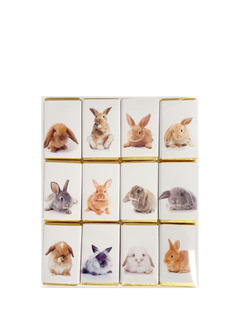 House of Dorchester Bunny Milk Chocolate Slims, Pack of 12, 120g