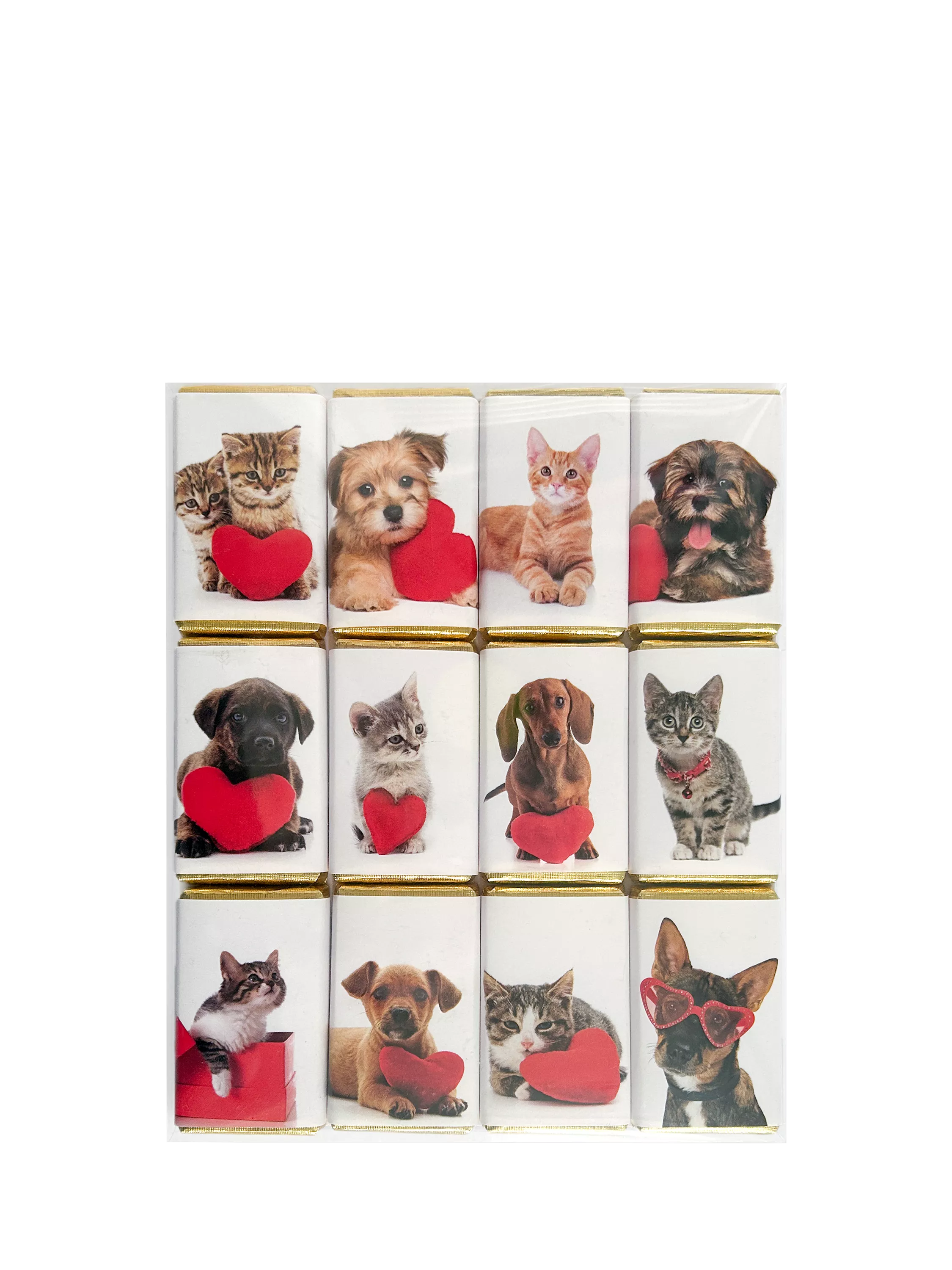 House of Dorchester Dog & Cat Valentine's Milk Chocolate Slims, Pack of 12, 120g
