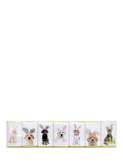 House of Dorchester Bunny Ears Dog Milk Chocolate Slims, Pack of  7, 70g