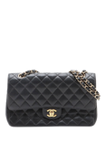 Pre-loved CHANEL 2004 Medium Caviar Leather Diamond-Quilted Classic Double Flap Shoulder Bag, Black