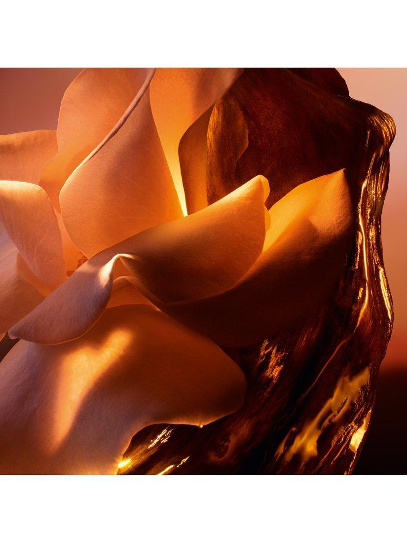 Product image 6 of 8, which shows Lancôme Absolue Les Parfums Oud Bouquet Eau de Parfum, 100ml