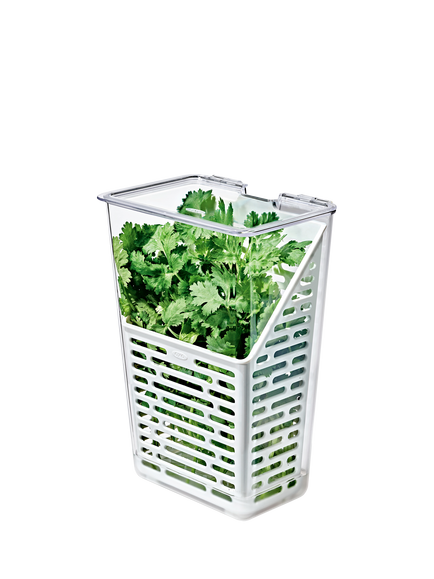 OXO Herb Keeper, White/Clear, White & Transparent