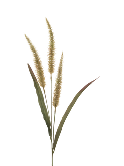 Floralsilk Artificial Antique Fountain Grass, 94cm, Green