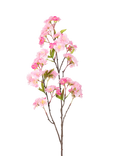 Floralsilk Artificial Cherry Blossom Spray, 81cm, Pink