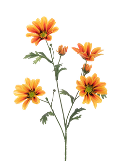 Floralsilk Eco Artificial Gazania Daisy Spray, 66cm, Orange, Orange