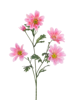 Floralsilk Eco Artificial Gazania Daisy Spray, 66cm, Pink, Pink