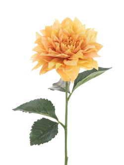 Floralsilk Artificial Juliet Dahlia, 61cm, Yellow, Yellow