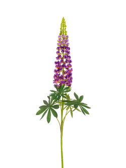 Floralsilk Artificial Lupin Spray, 108cm, Purple, Purple