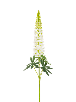 Floralsilk Artificial Lupin Spray, 108cm, White, White