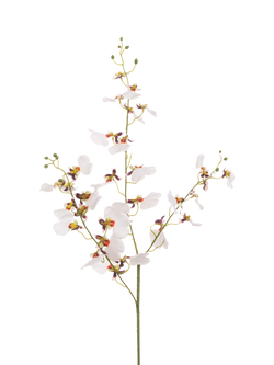 Floralsilk Artificial Oncidium Orchid Spray, 98cm, White, White