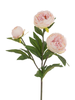 Floralsilk Artificial Triple Peony Flower Spray, 76cm, Light Pink, Red