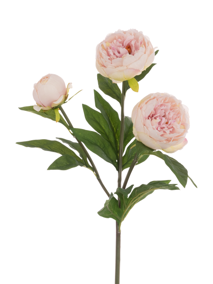 Floralsilk Artificial Triple Peony Flower Spray, 76cm, Light Pink, Red
