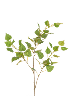 Floralsilk Artificial Birch Leaves Spray, 99cm, Green, Green