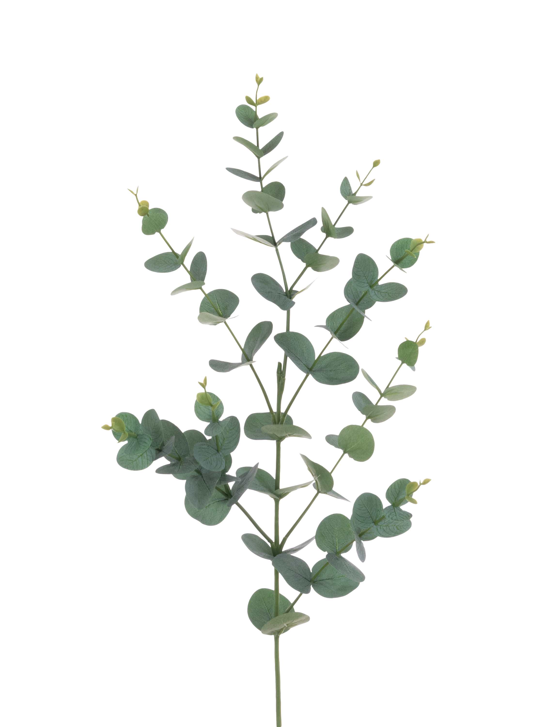 Floralsilk Eco Artificial Eucalyptus Spray, 97cm, Green