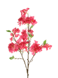Floralsilk Artificial Bougainvillea Spray, 106cm, Pink