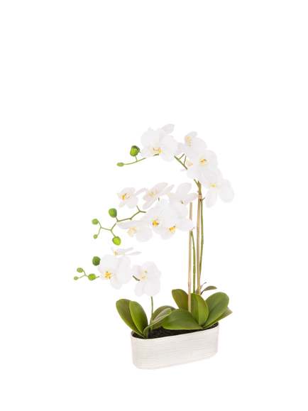 Floralsilk Artificial Orchids in Oval Ceramic Pot, 53cm, White, White