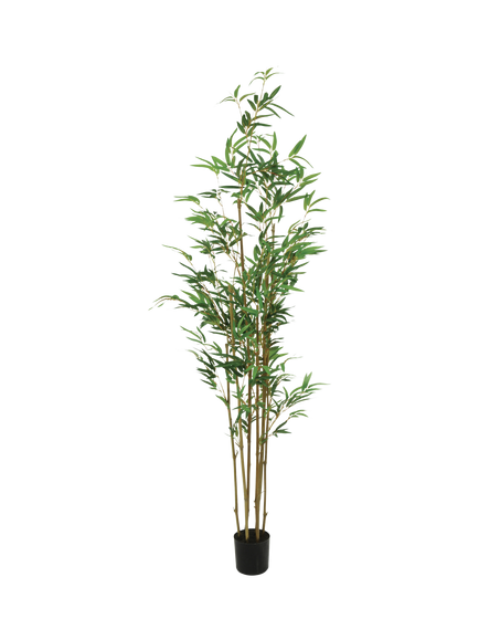 Floralsilk Artificial Potted Bamboo Plant, 165cm, Green, Green
