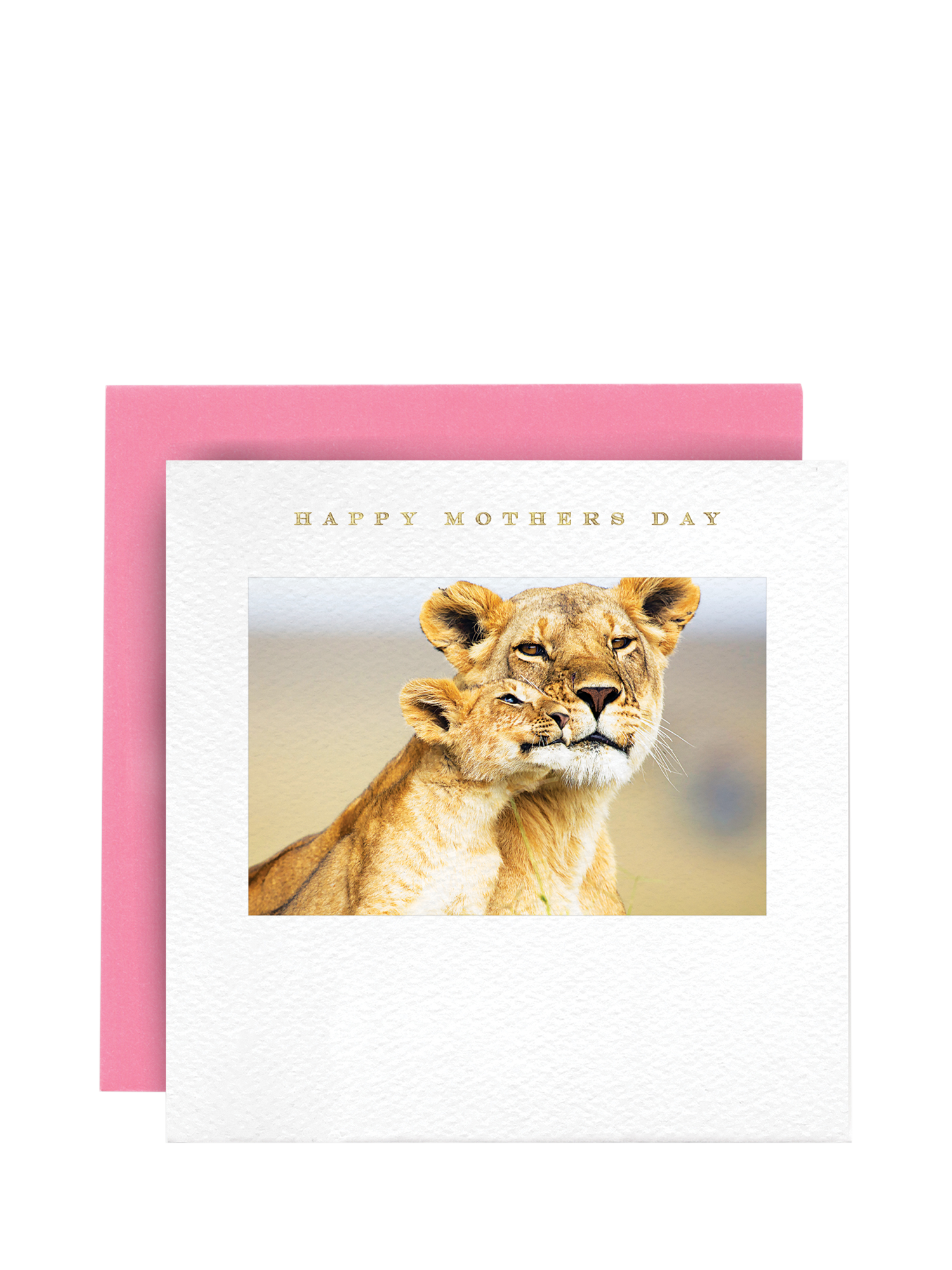 Susan O'Hanlon Lioness and Cub Mother's Day Card