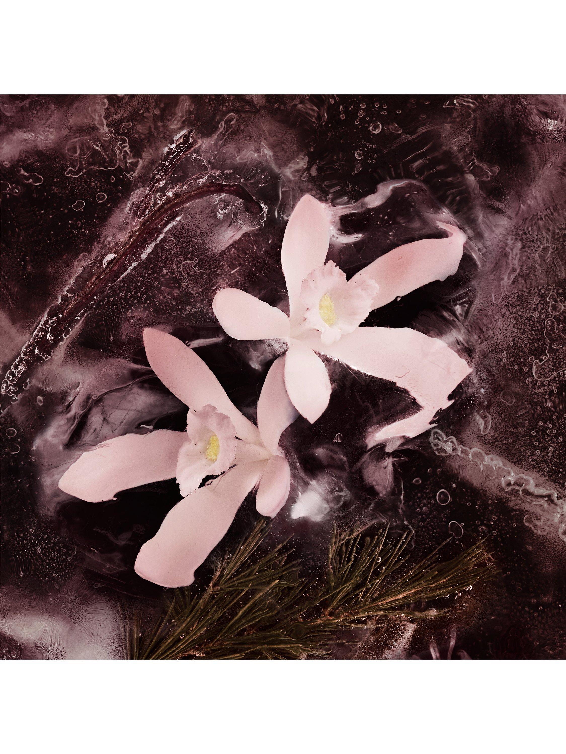 Product image 4 of 4, which shows Moncler Les Sommets Collection Haute Montagne Eau de Parfum, 100ml