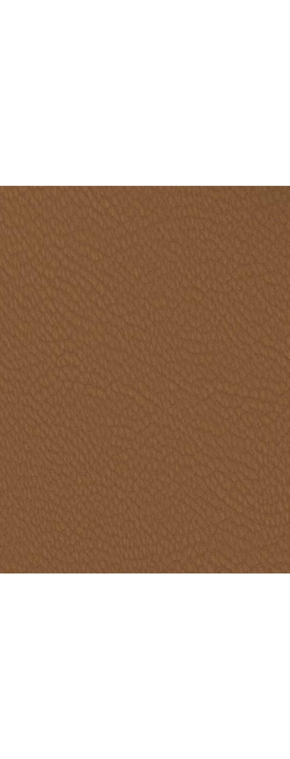 Matt Tan