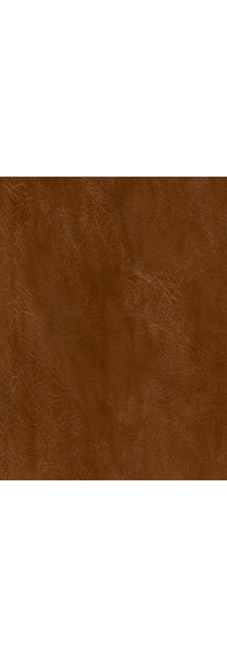 Premium Caramel