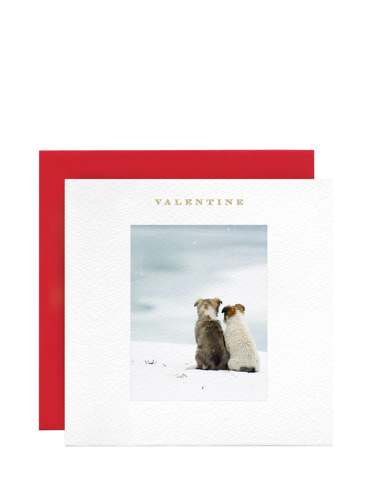 Susan O'Hanlon Dogs In Snow Valentine's Day Card