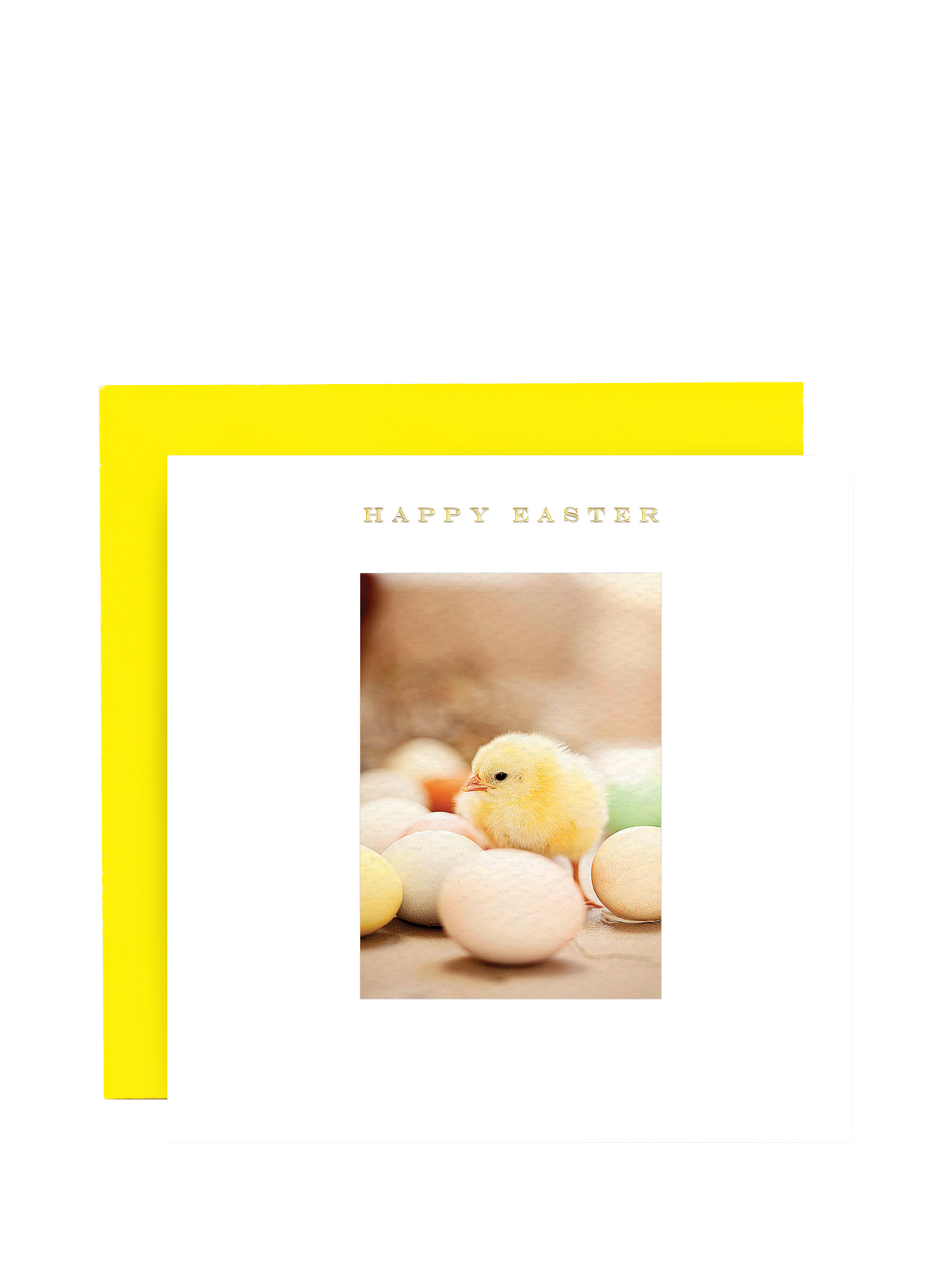 Susan O'Hanlon Chick Eggs Easter Card