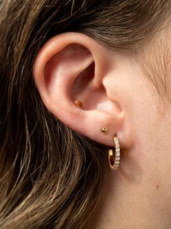 Tish Lyon Cara Titanium Cubic Zirconia Pavé Hoop Earrings - view 2, Gold