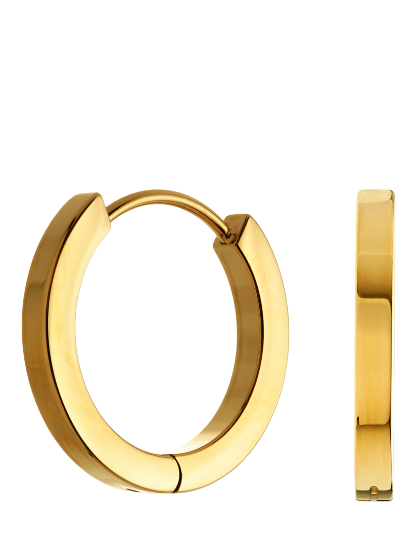 Product image 1 of 4, which shows Tish Lyon Leah Titanium Small Huggie Hoop Earrings, Gold