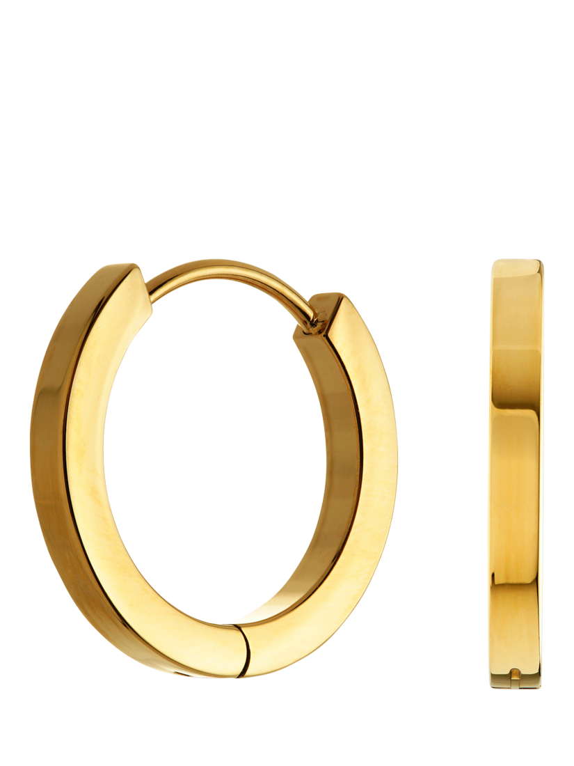 Product image 1 of 4, which shows Tish Lyon Leah Titanium Hoop Earrings, Gold