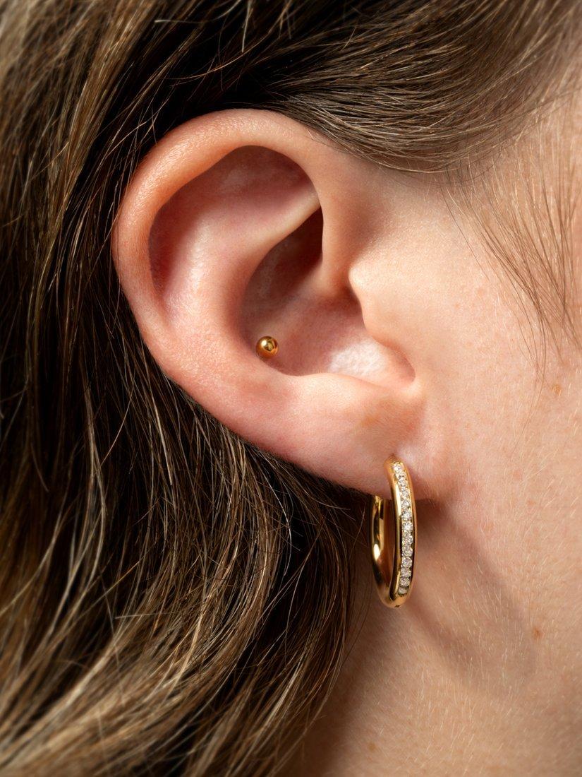 Product image 2 of 5, which shows Tish Lyon Zoe Chunky Pave Cubic Zirconia Hoop Earrings, Gold