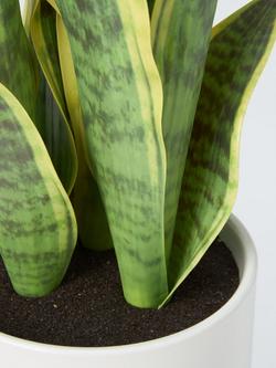 John Lewis Artificial Aloe Plant in Ceramic Pot, White - view 2, 