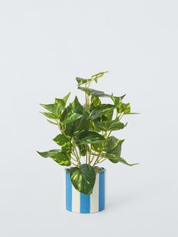 John Lewis Artificial Epipremnum Plant in Striped Ceramic Vase, Blue, 
