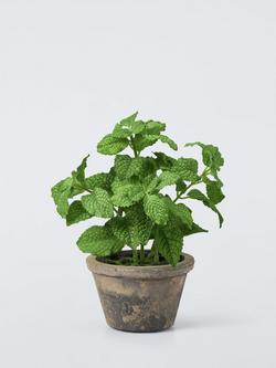 John Lewis Artificial Mint Plant in Rustic Ceramic Pot, 