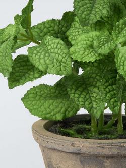 John Lewis Artificial Mint Plant in Rustic Ceramic Pot - view 2, 