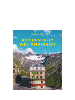 Hachette Book Group Workman Accidently Wes Anderson Book, Blue