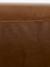 Premium Caramel colour