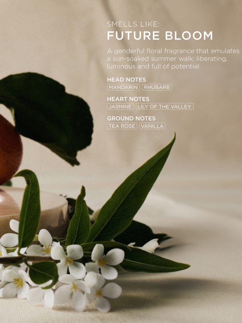 Product image 6 of 7, which shows ARKIVE All Day Extra Shampoo, 60ml