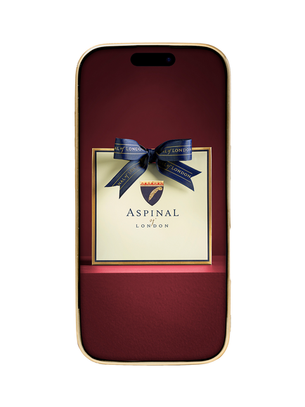 Aspinal of London Leather iPhone 16 Pro Case - view 2, Navy