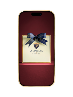 Aspinal of London Leather iPhone 16 Pro Case - view 2, Black