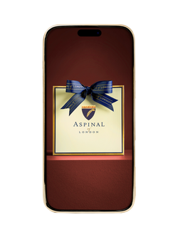 Aspinal of London Leather iPhone 16 Pro Max Case - view 2, Navy