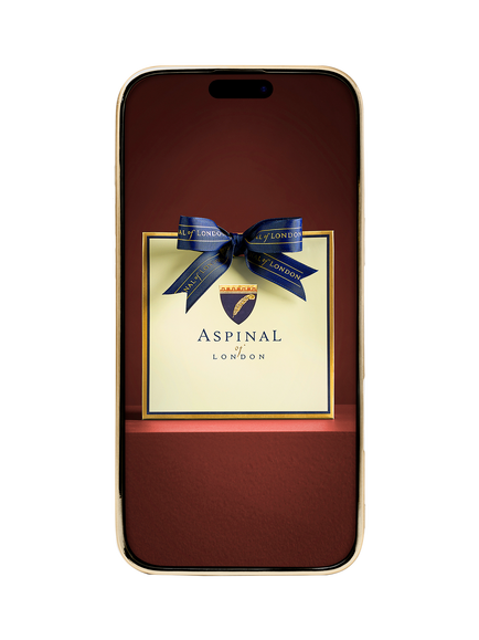 Aspinal of London Leather iPhone 16 Pro Max Case - view 2, Navy