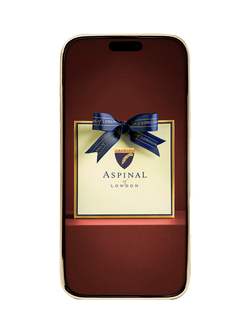 Aspinal of London Leather iPhone 16 Pro Max Case - view 2, Black