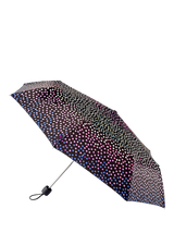Minilite