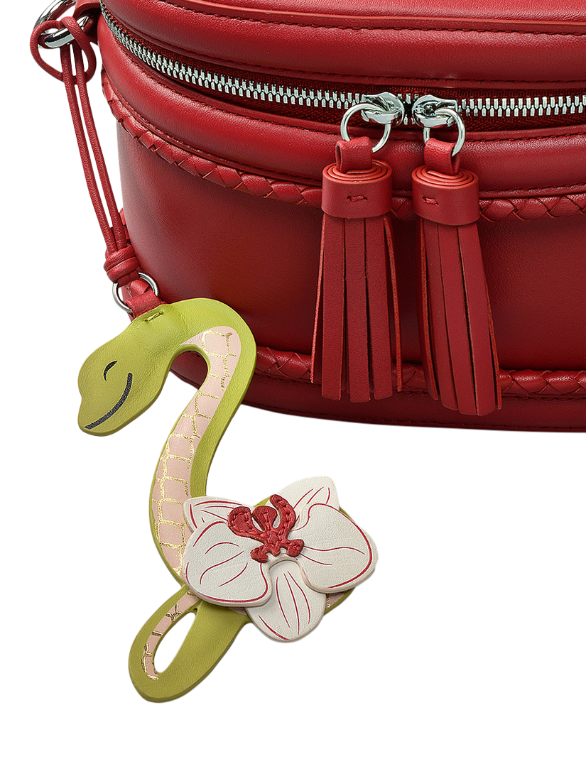 Product image 5 of 5, which shows Radley Lunar New Year Leather Vanity Style Crossbody Bag, Crimson