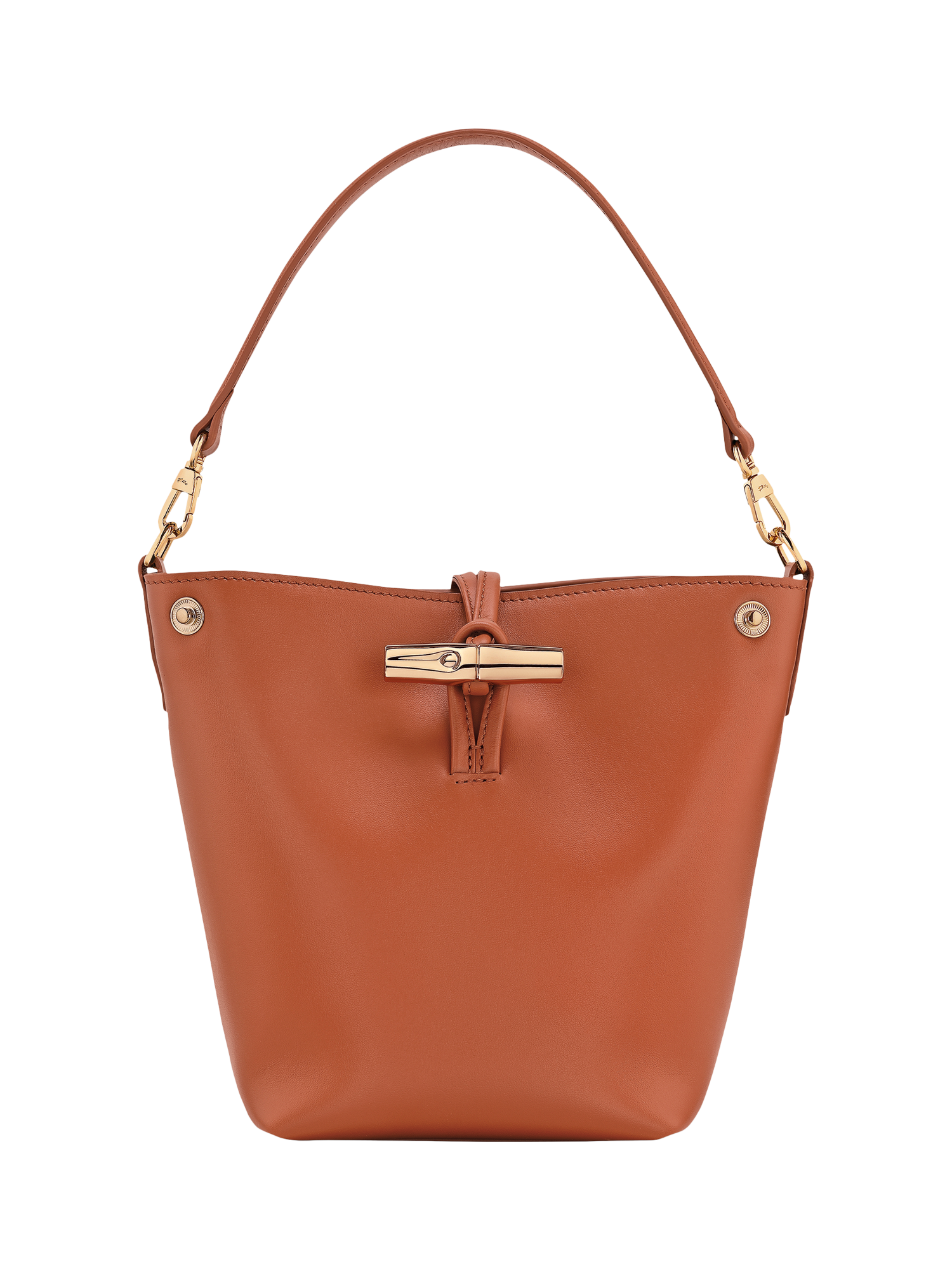 Product image 1 of 5, which shows Longchamp Le Roseau XS Leather Bucket Bag, Bark