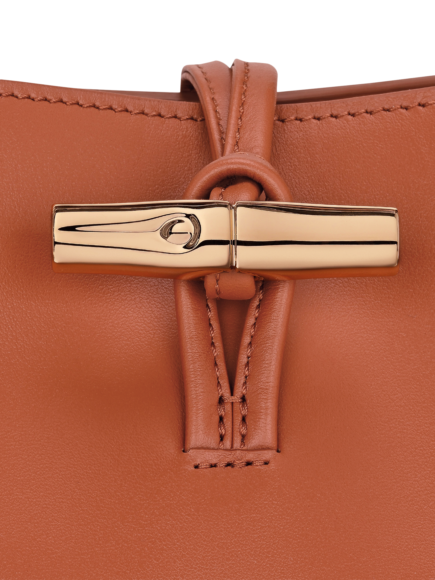 Product image 5 of 5, which shows Longchamp Le Roseau XS Leather Bucket Bag, Bark